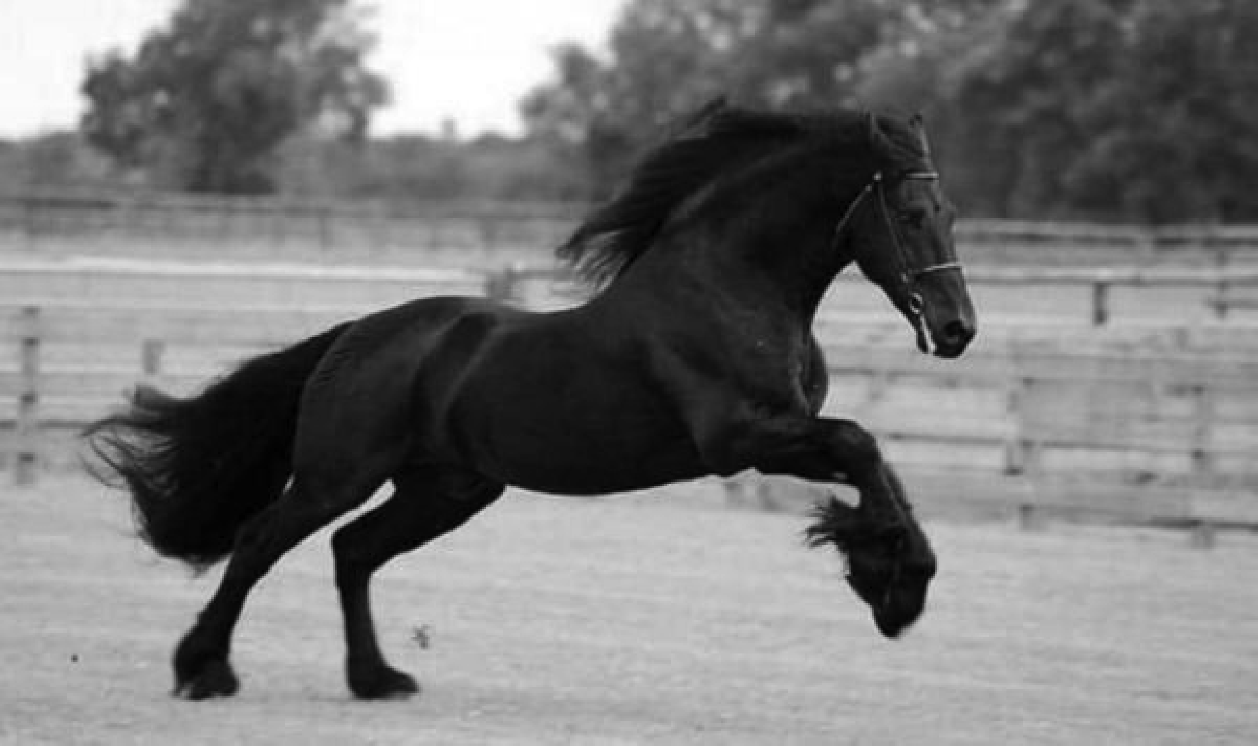 Complete Nutritional Profile