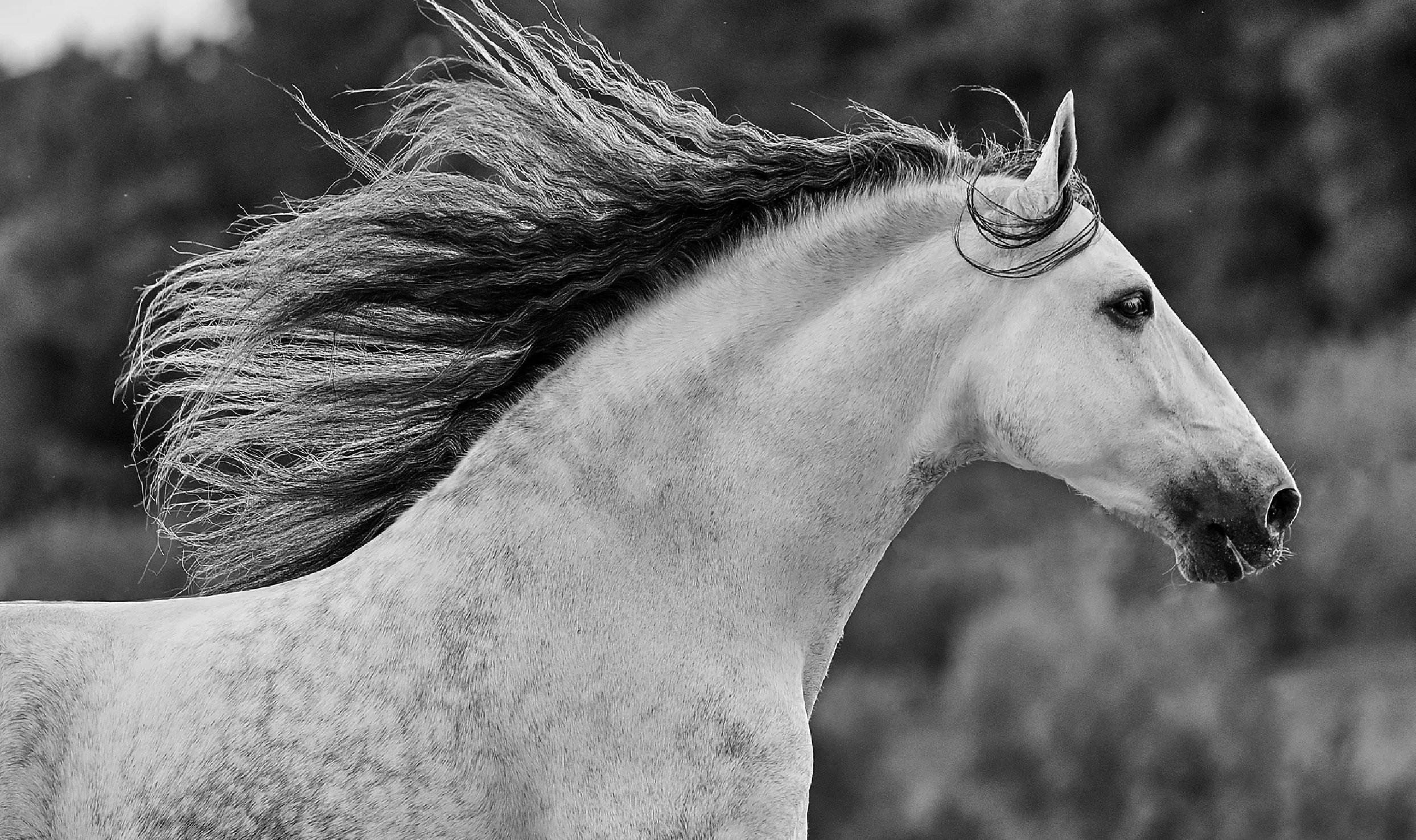 Pure & Contaminant-Free