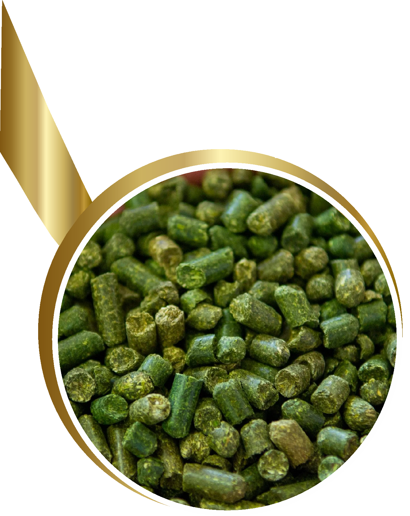 Close up of Hydroponic Pellets